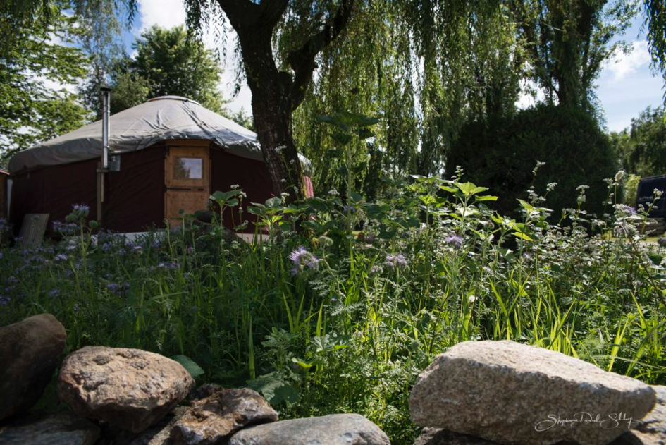 camping stages evenements artistiques